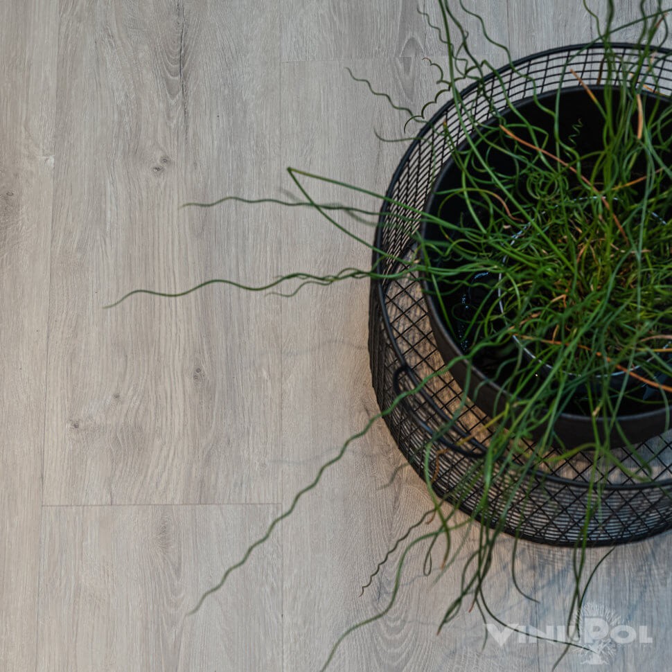 Кварц-винил VinilPol Glue 7897 Дуб Неаполь