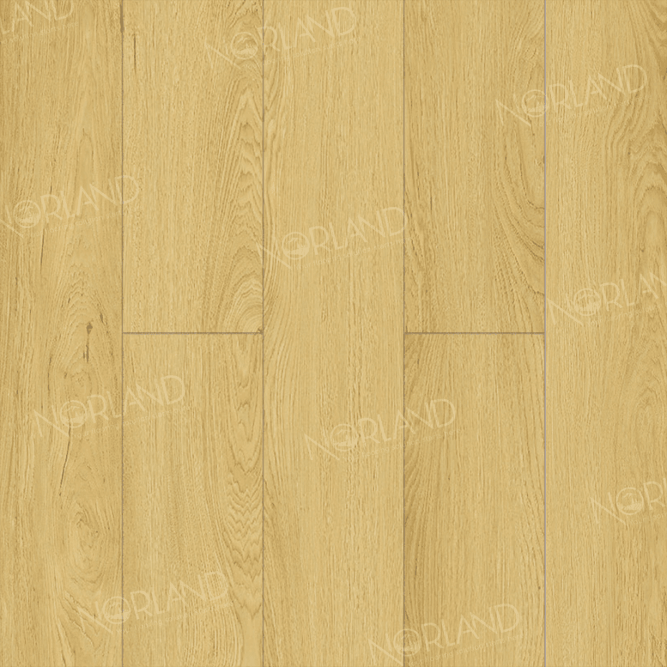 Ламинат Norland Elegant 301-08 Дуб Элмер