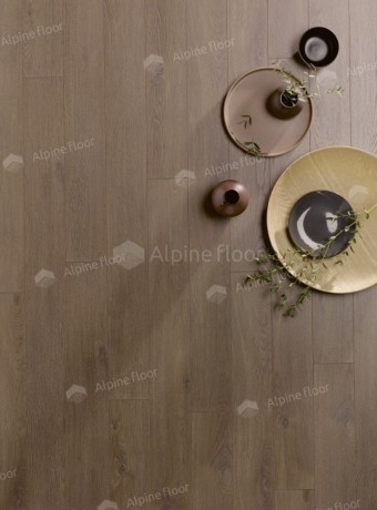 Ламинат Homflor Patio 560 Olbia Oak