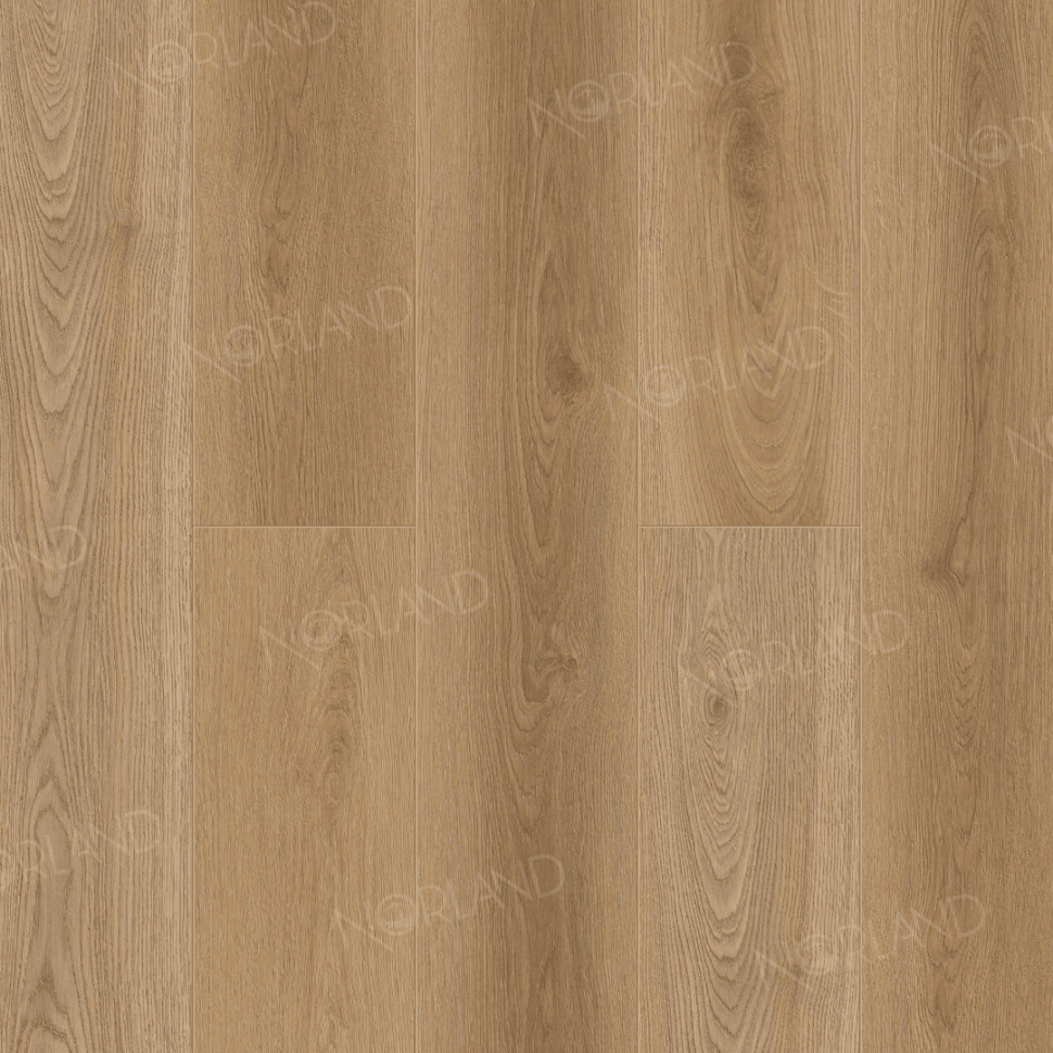 Кварц-винил Norland Сигрид LVT 1003-19 Соцветие