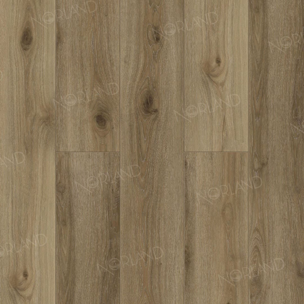 Кварц-винил Norland Сигрид LVT 1003-15 Отражение