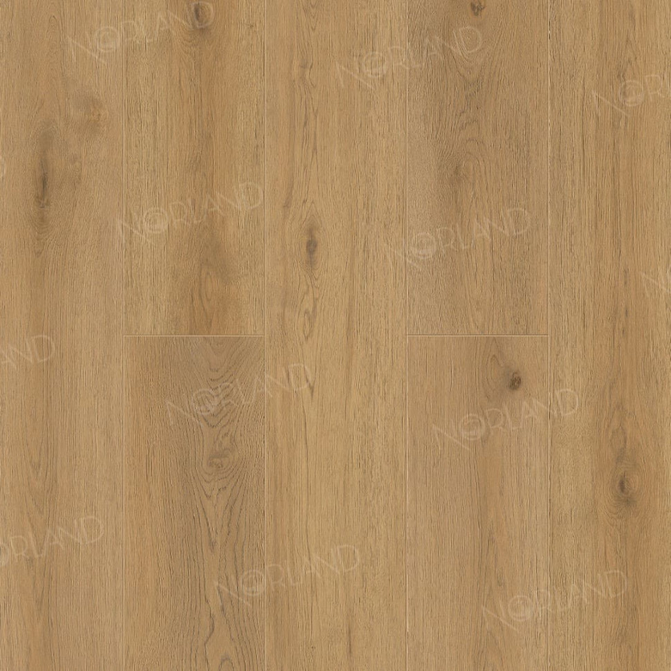 Кварц-винил Norland Сигрид LVT 1003-2 Воздух